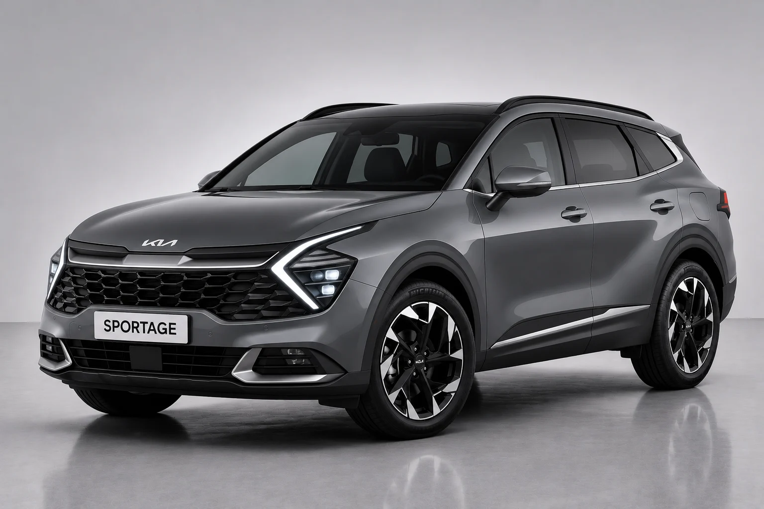 Sportage - image 1